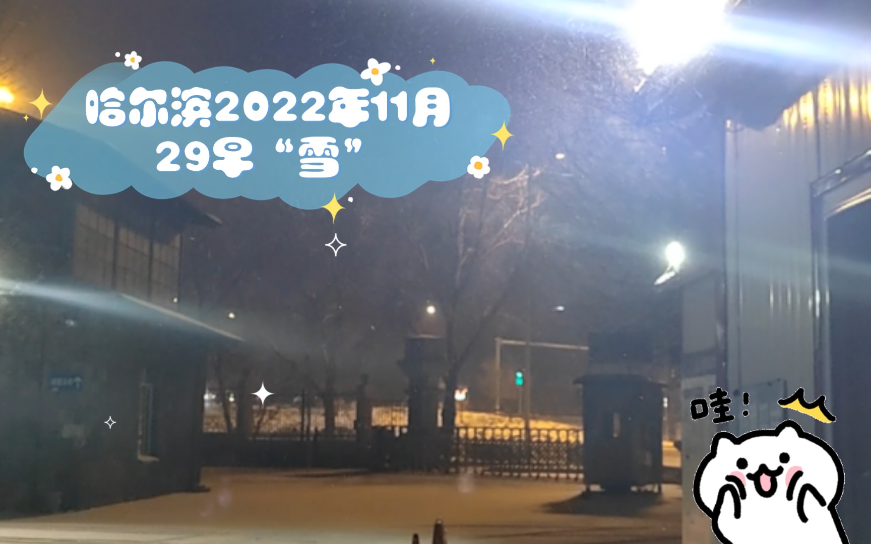 哈尔滨2022年11月29早“雪”哔哩哔哩bilibili