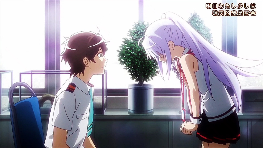 这是来自艾拉对司的告白