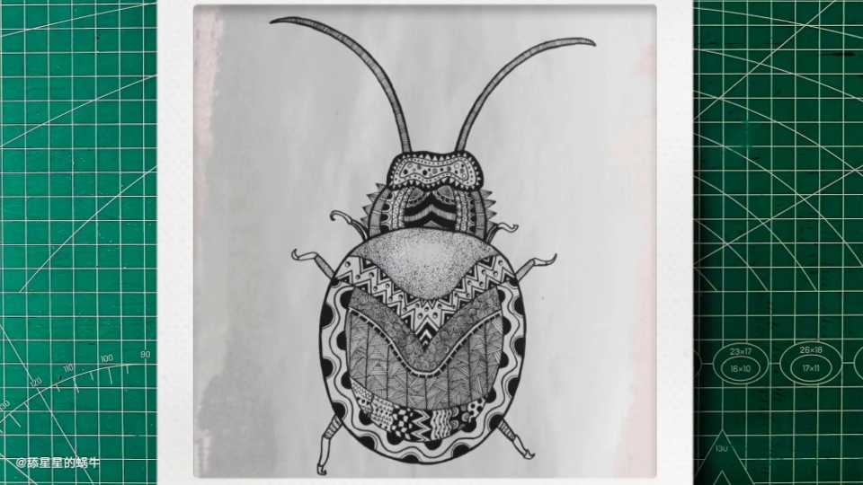 黑白线描画甲壳虫