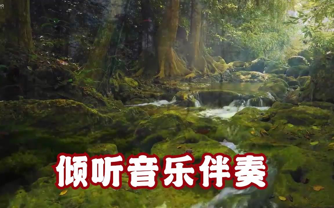 [图]刘欢 你是我生命中的礼物 伴奏 WAV伴奏 完美高音质