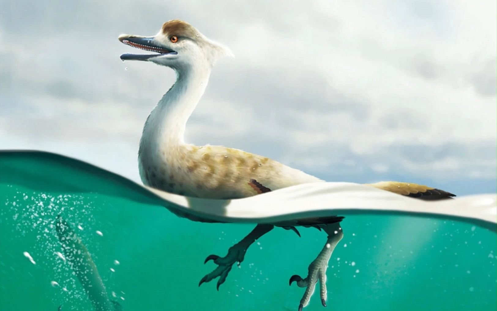 多齿游猎龙,又一种会游泳的恐龙