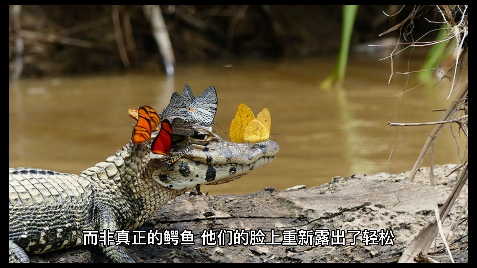 [图]永远都要保持平静的心态