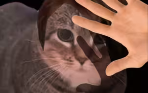 ...