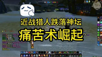 Download Video: 近战猎人跌落神坛，痛苦术崛起！