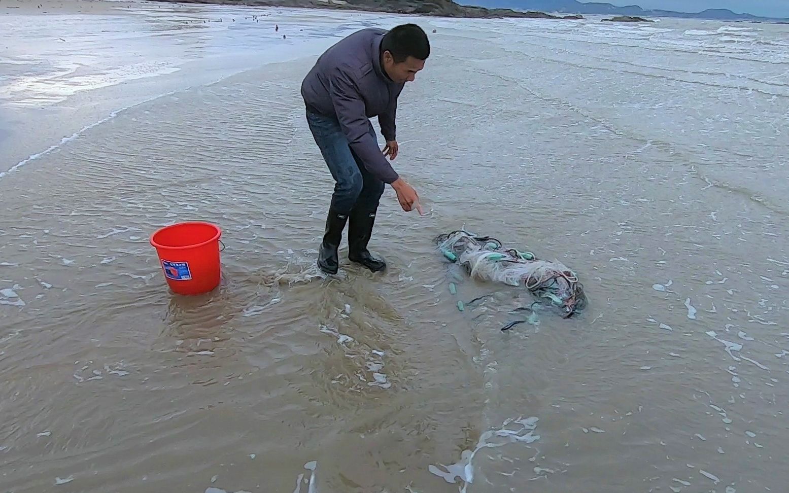 阿烽在無人島趕海發現一張爛網裡有兩隻珍貴的生物很值錢