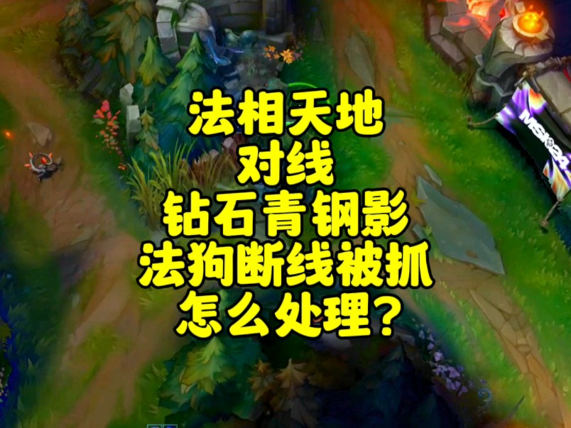 我打钻石以下还没被抓到过,钻石局也打了二十多把才被抓到了一次