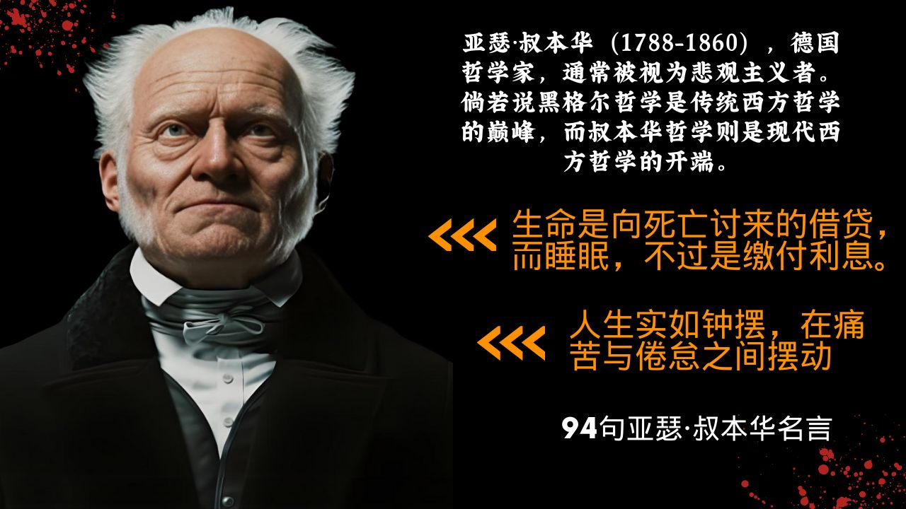 什么是生命哲学角度的概念(什么是生命哲学角度的概念呢)