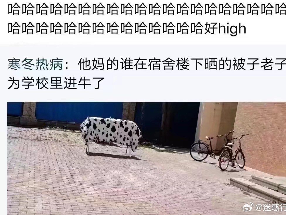 外面的沙雕网友都在看什么? (第二十期)