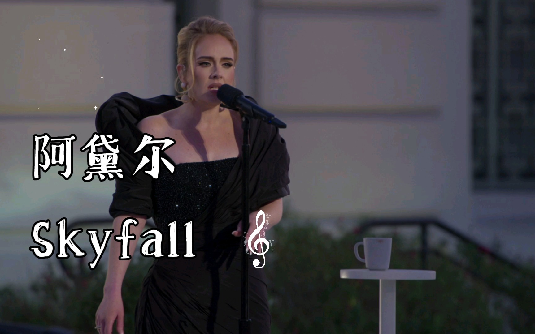 阿黛尔此夜唯一演唱会 歌曲《Skyfall》哔哩哔哩bilibili