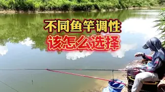 Download Video: 不同鱼竿调性的特点，教你怎么选择鱼竿