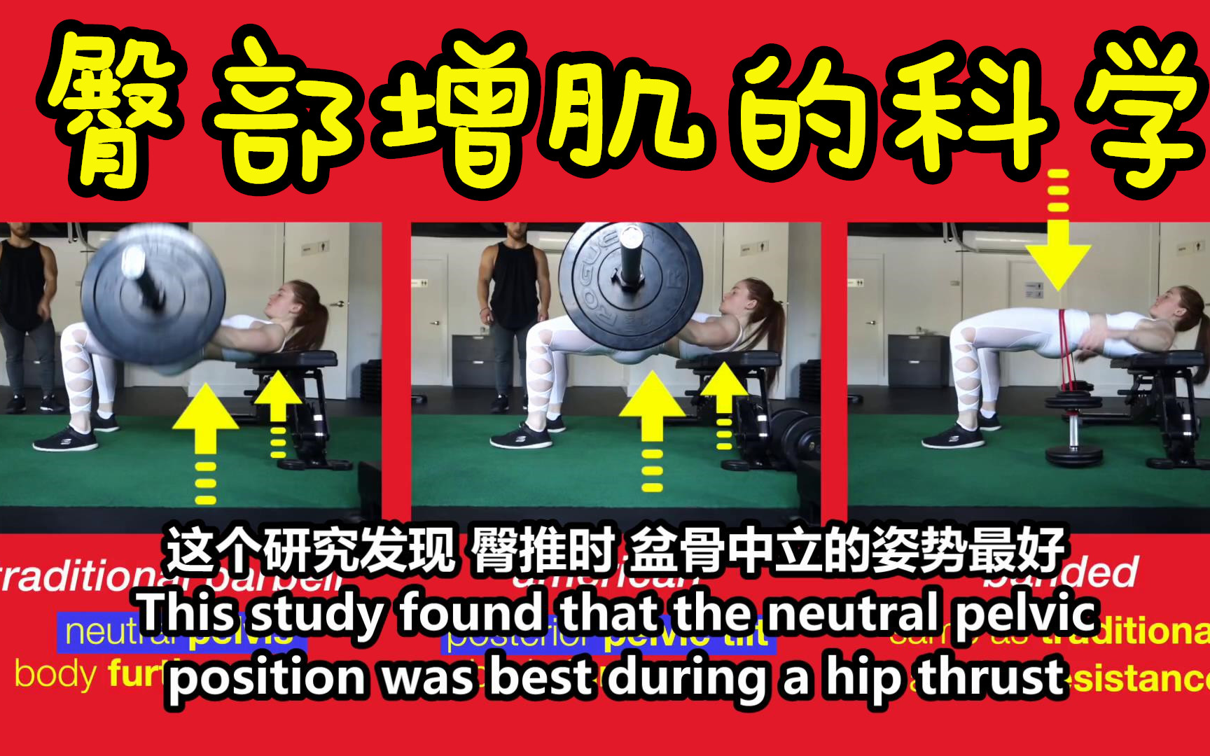 学术帝Jeff Nippard——臀部增肌的科学哔哩哔哩bilibili