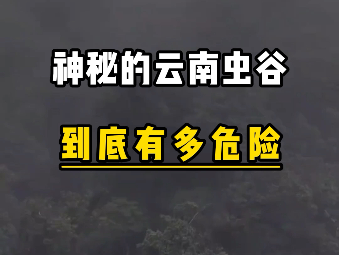 神秘的云南虫谷到底有多危险?连本地人都不敢进入. #旅行推荐官 #旅行大玩家 #奇闻奇事 #云南 #盗墓笔记哔哩哔哩bilibili