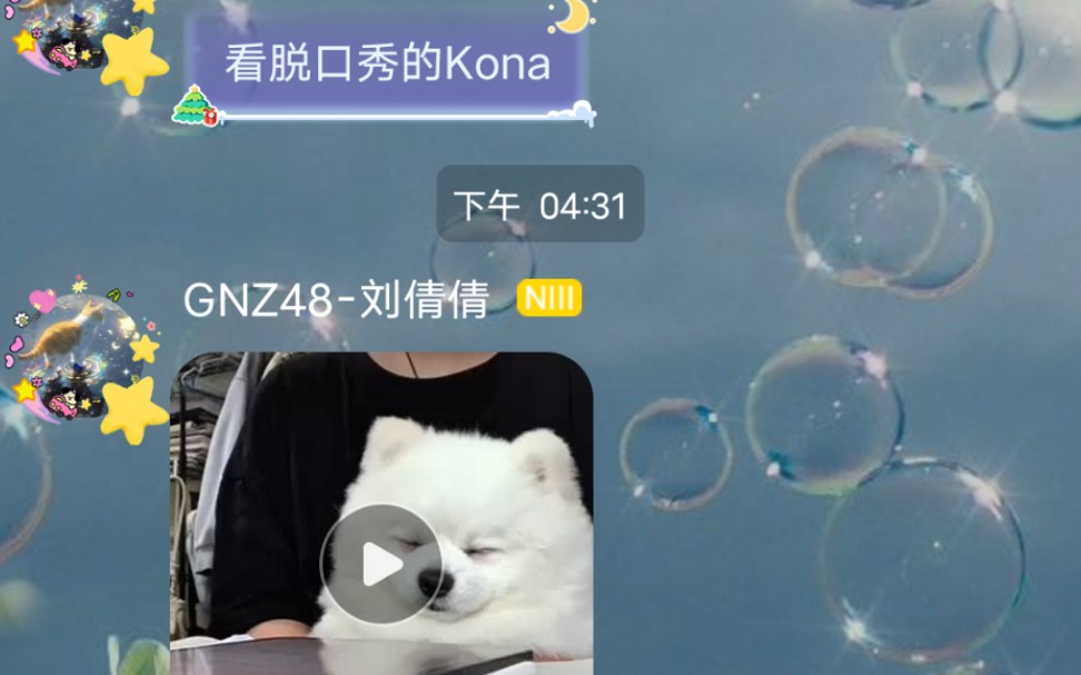 【7k】看到小金脸臭臭的,小金说梦到和ko吵架我帮ko,没事哒没事哒,现实中我也会帮kona|好可爱的小狗,好可爱的koko哔哩哔哩bilibili