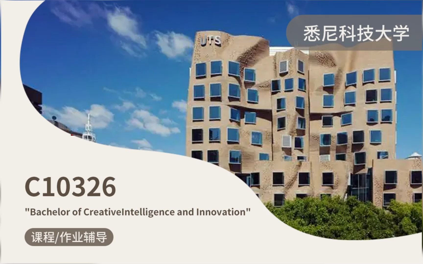 悉尼科技大学本科C10326Creative Intelligence and Innovation创造智能与创新学专业课程辅导哔哩哔哩bilibili