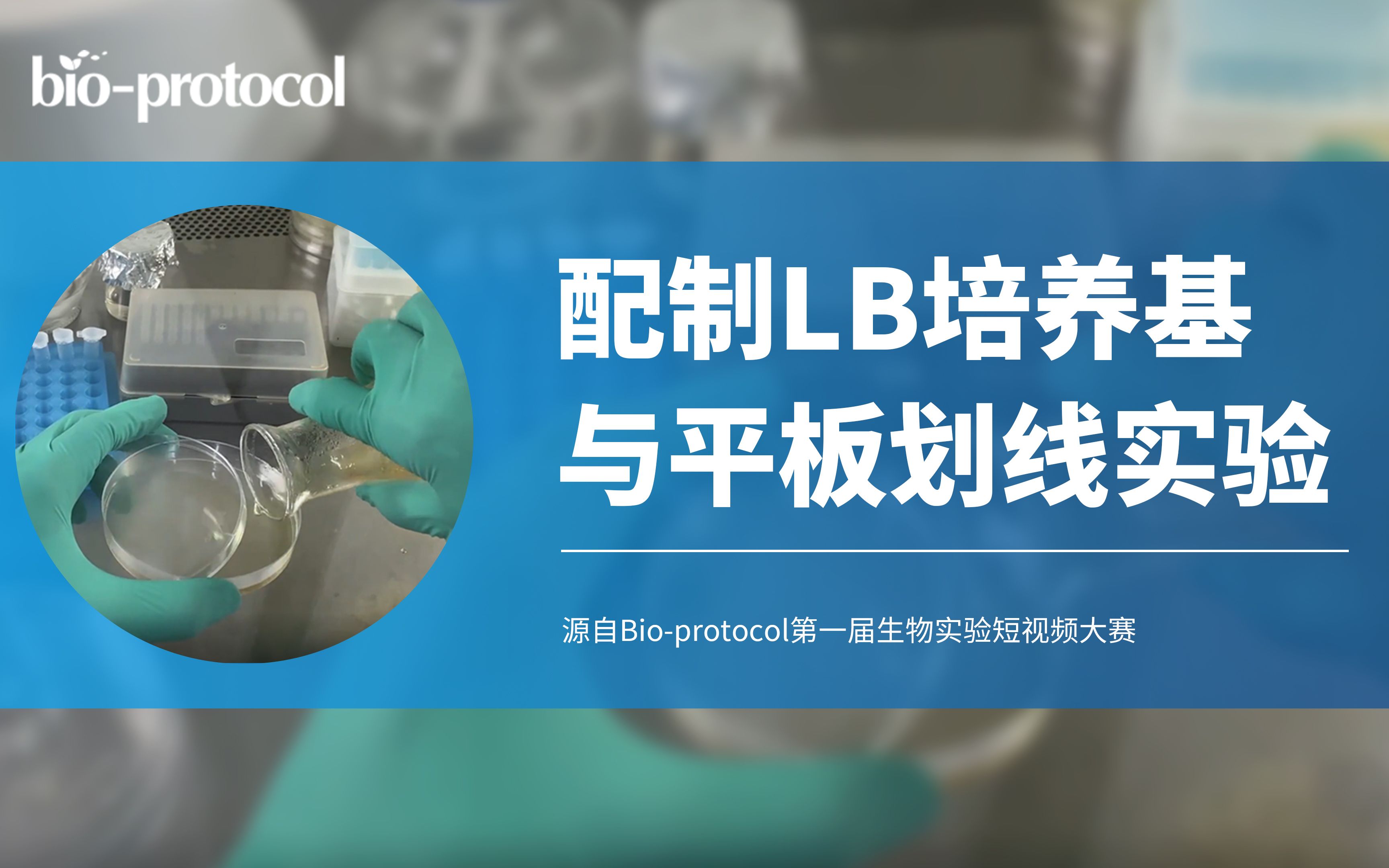 【Bioprotocol】配制LB培养基与平板划线实验哔哩哔哩bilibili