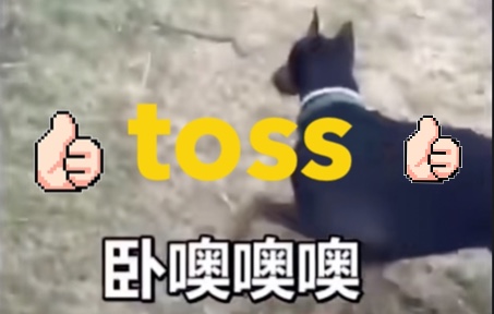 【toss】汪汪队甩大蛇哔哩哔哩bilibili