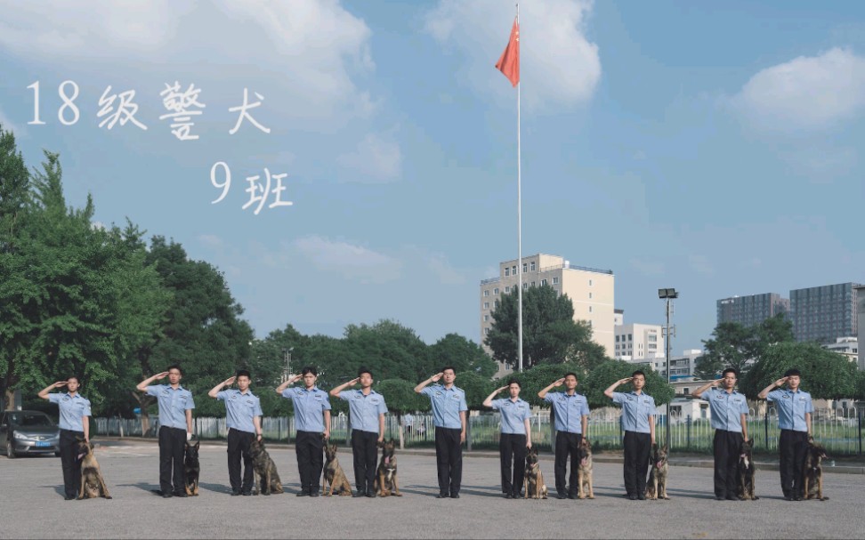 《开始警犬训导员的故事》——我们和狗狗当同学的日子,中国警犬技术最高学府哔哩哔哩bilibili