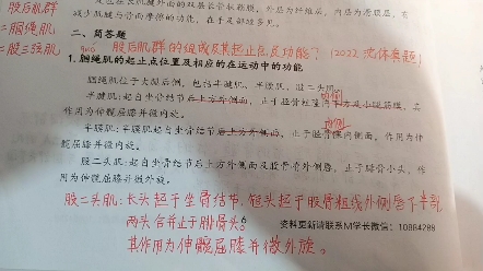 腘绳肌的起止点及功能?/股后肌群的组成,起止点及功能? 2022南体运科真题第六题 2022沈体真题哔哩哔哩bilibili