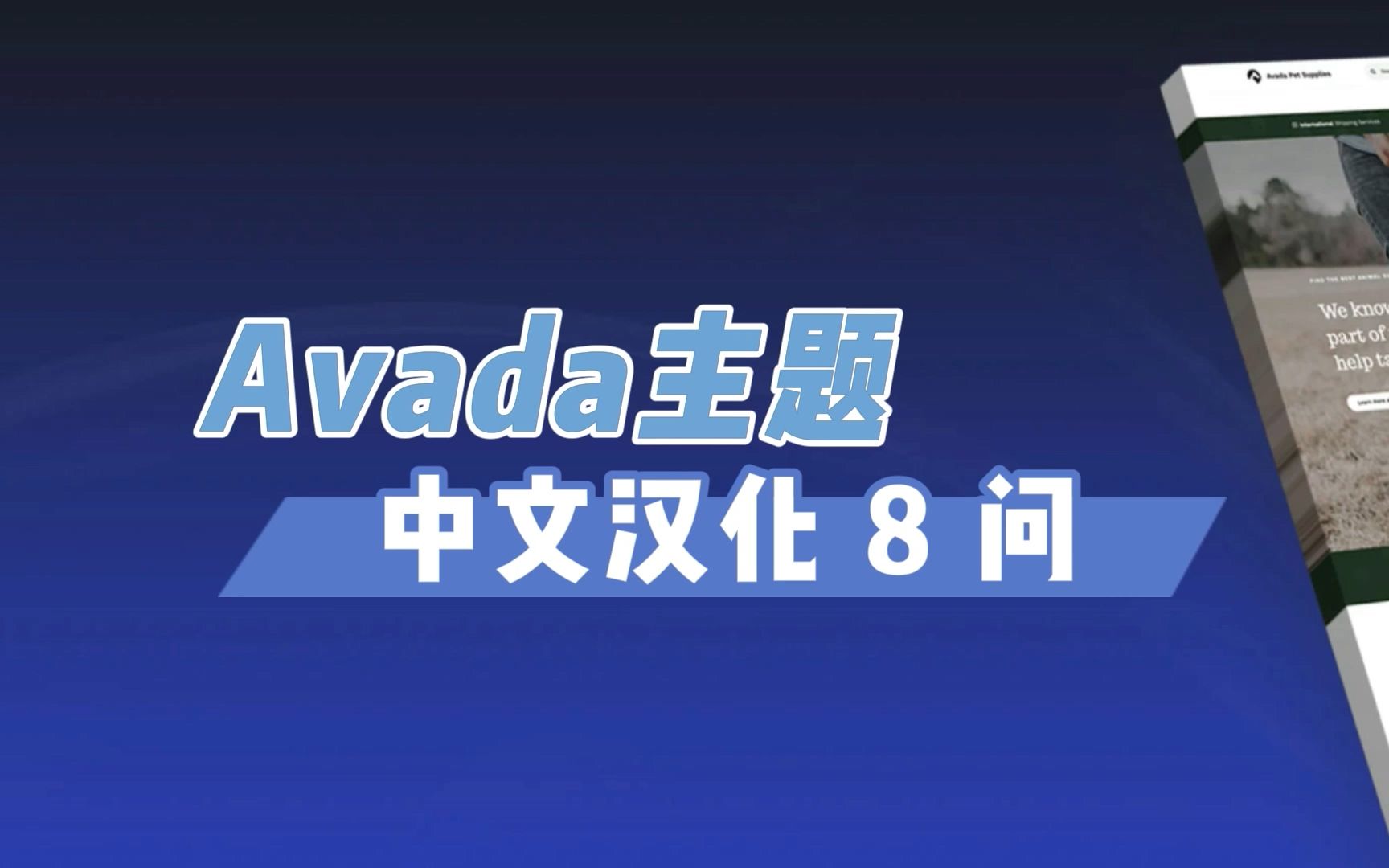 Avada 主题汉化8问 (Avada是什么?汉化适合正版么?等)哔哩哔哩bilibili