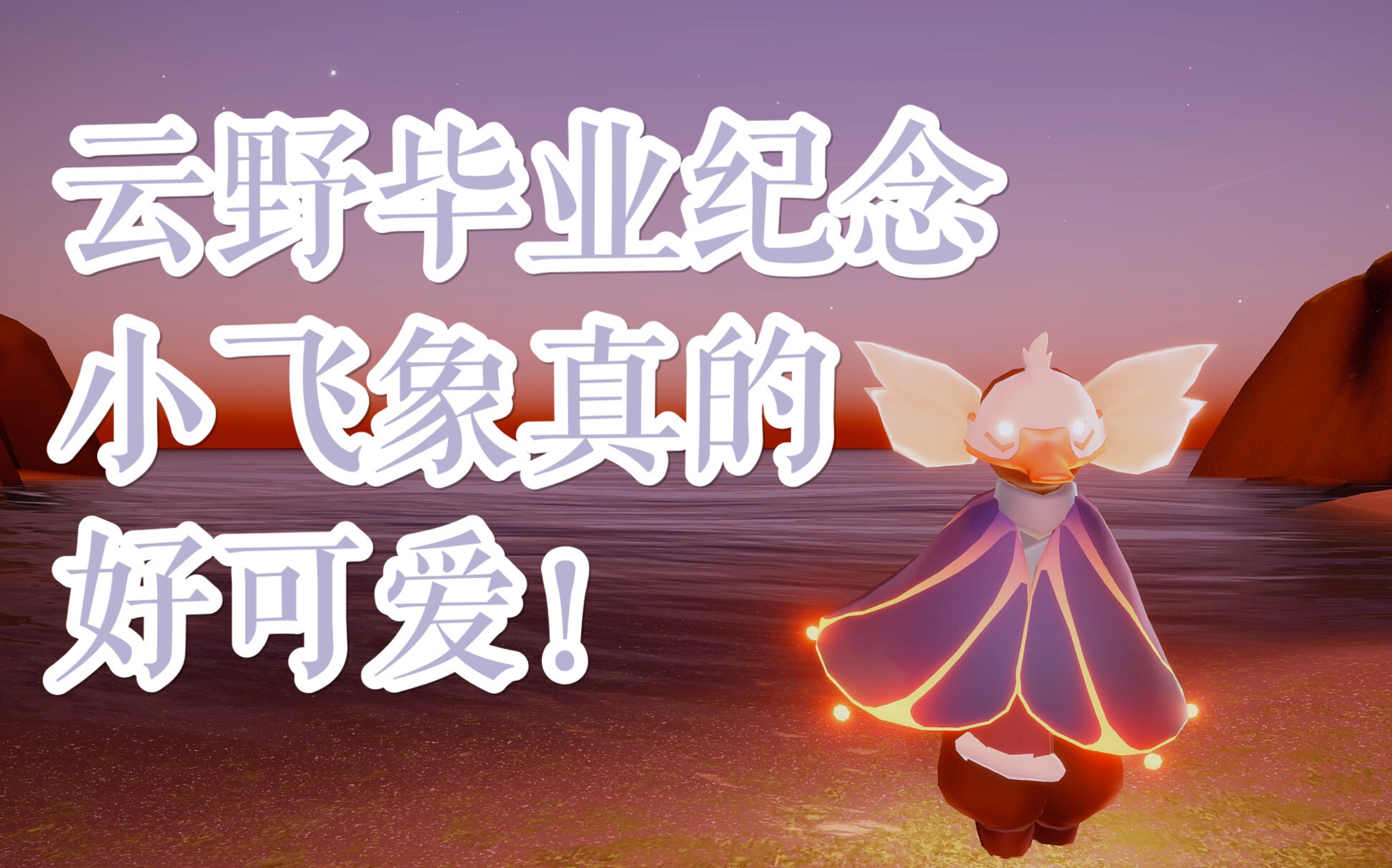 sky光遇|云野毕业啦 小飞象好可爱呜