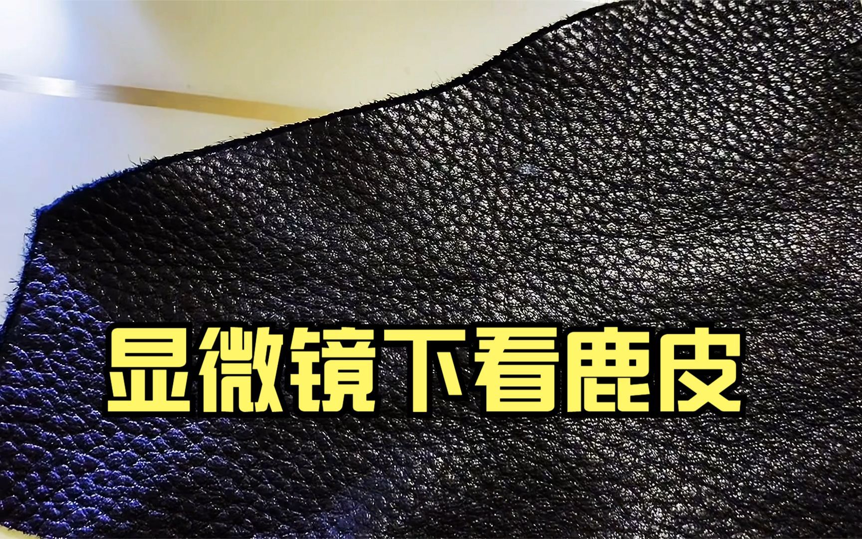 如何识别真假鹿皮,可通过显微镜观察真皮表面纹路和毛孔