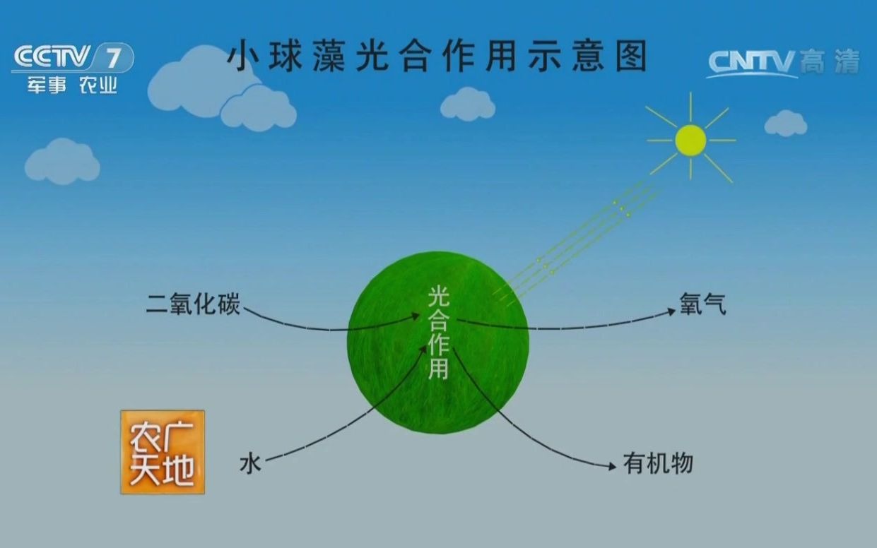 [农广天地]新型功能性肥料—二氧化碳捕集剂 20170316哔哩哔哩bilibili