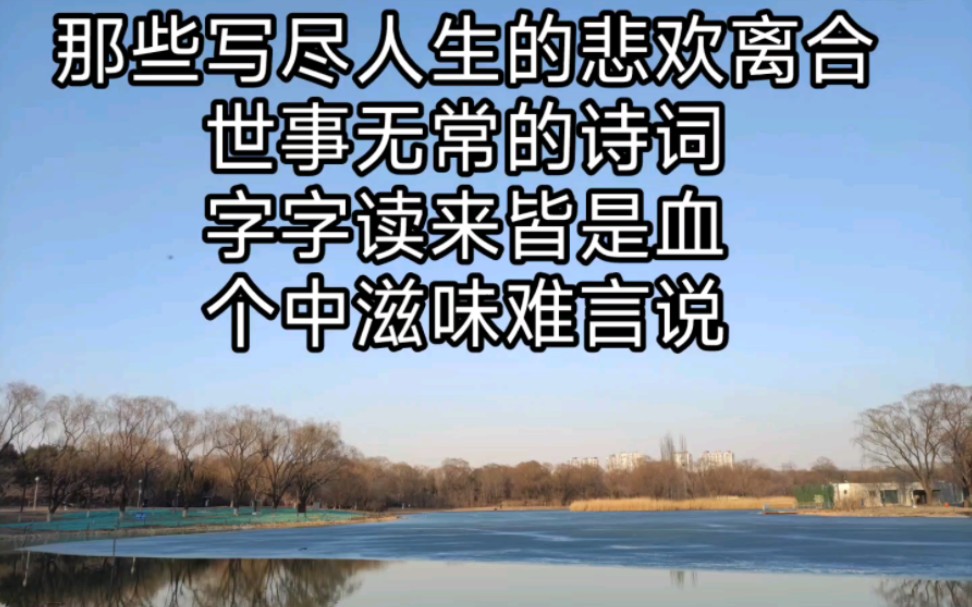 那些写尽人生的悲欢离合、世事无常的诗词,字字读来皆是血,个中滋味难言说.哔哩哔哩bilibili