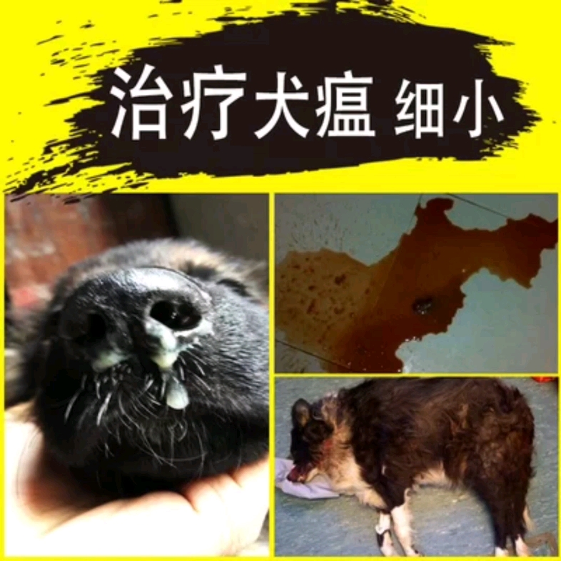 [图]治疗犬瘟细小花不了多少钱