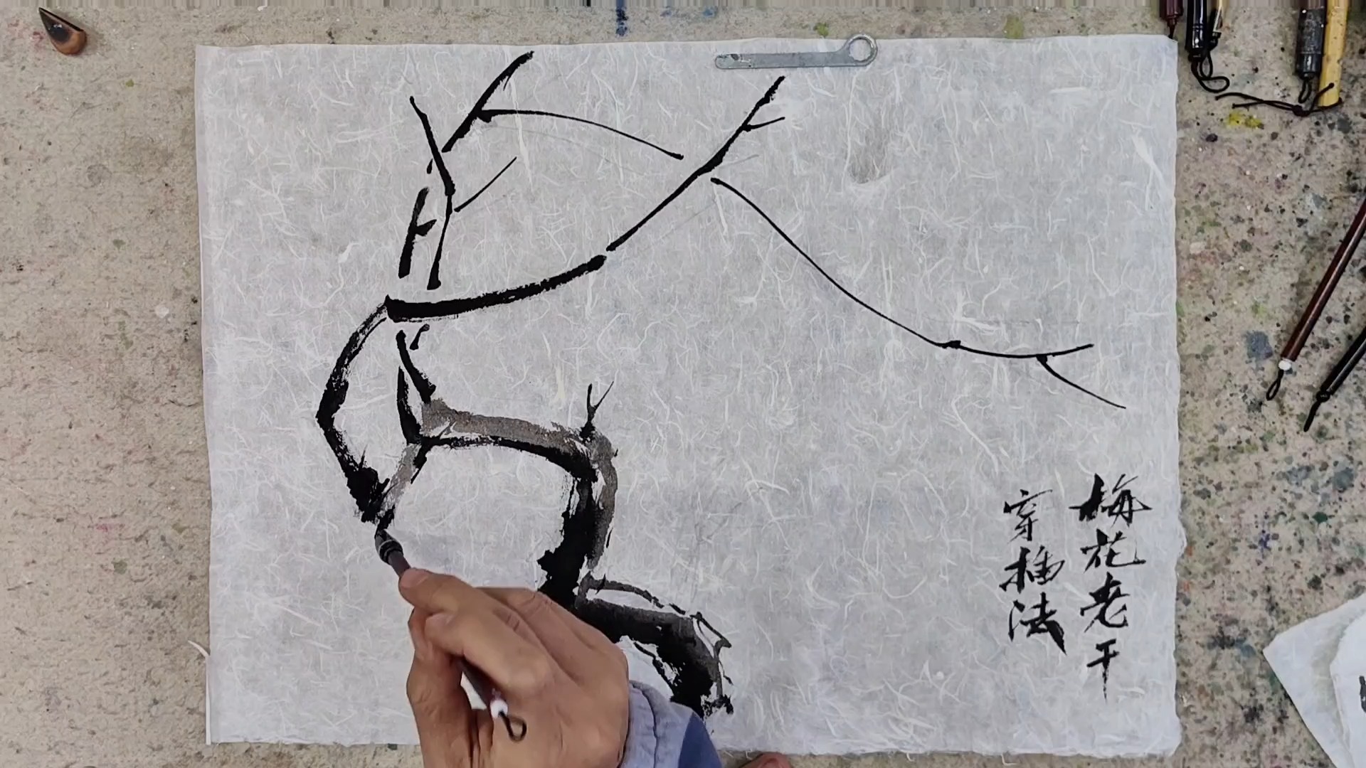 梅花老干与嫩枝穿插关系