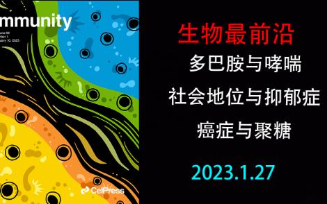 【生物最前沿】多巴胺与哮喘、地位与抑郁症哔哩哔哩bilibili