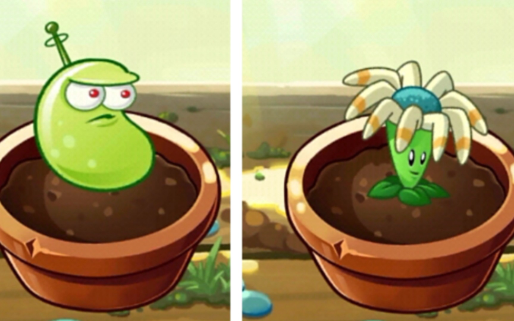 pvz2新植物麦子图片