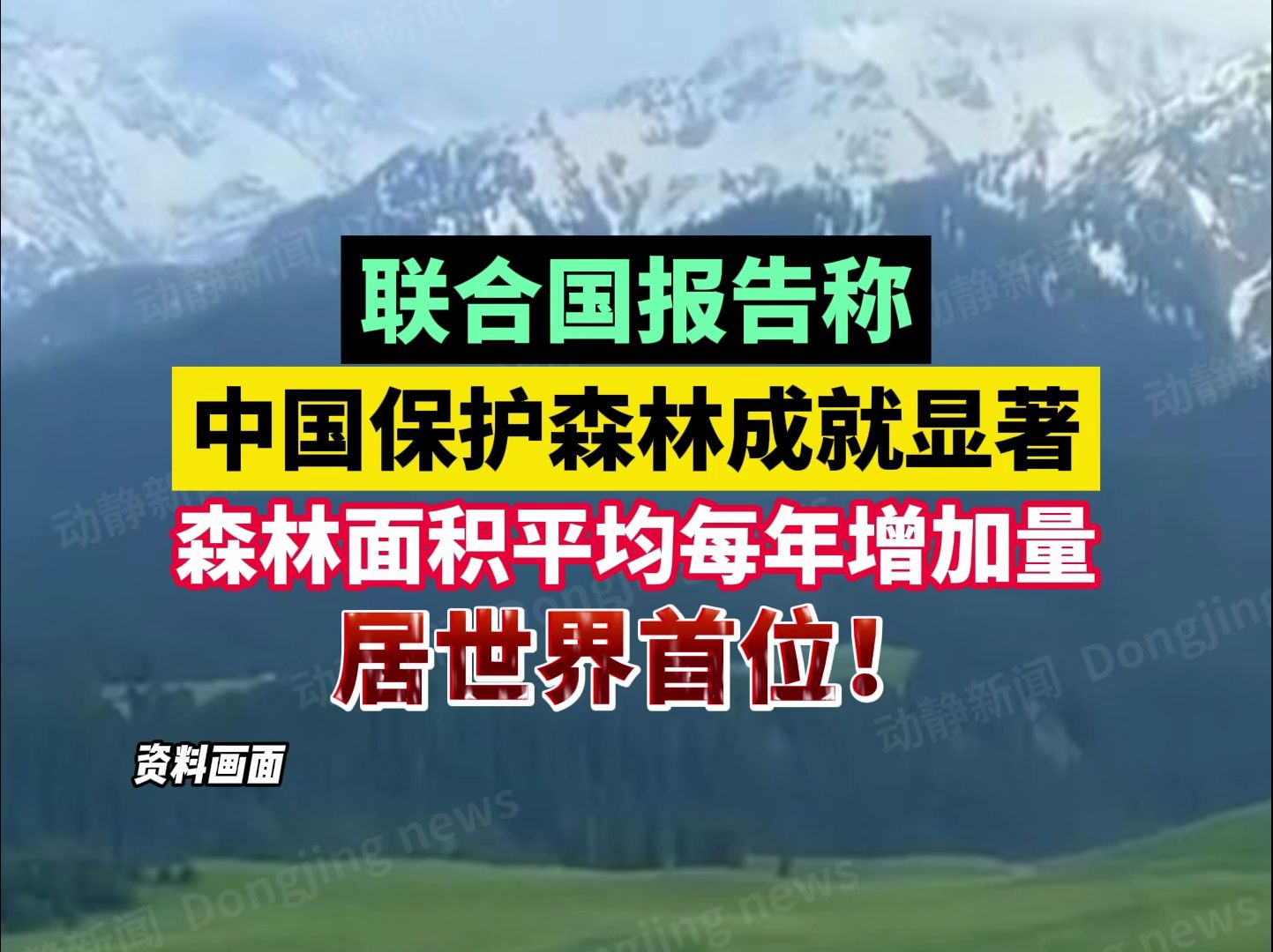 联合国报告称,中国保护森林成就显著,森林面积平均每年增加量居世界首位!哔哩哔哩bilibili