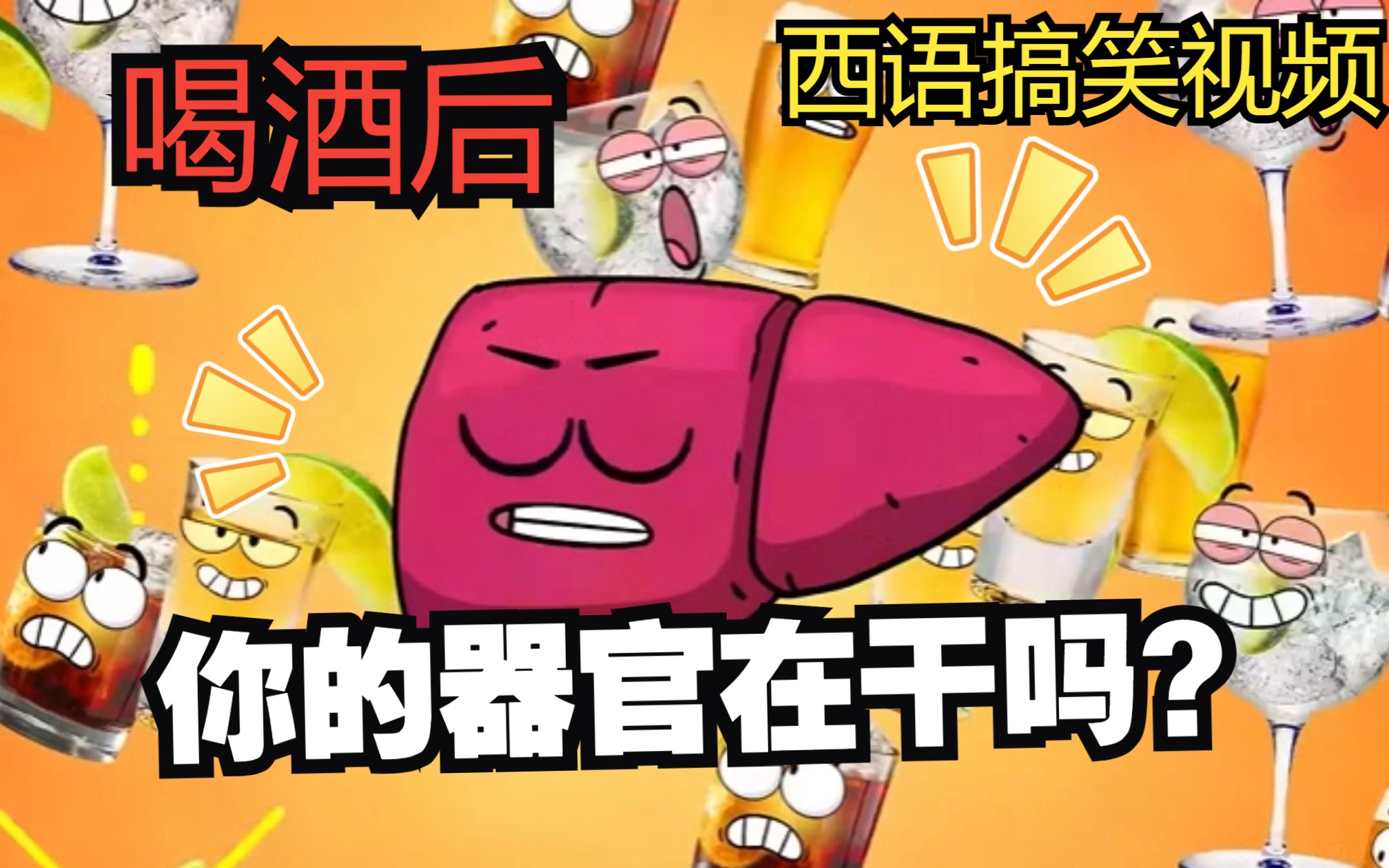 【中西字幕】西语爆笑解说,喝酒后,你的器官在干吗?