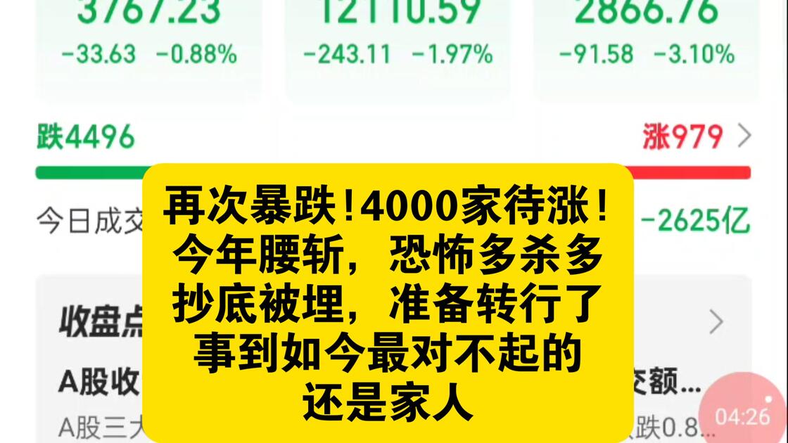 再次暴跌!4000家待涨!今年腰斩，恐怖多杀多!抄底被埋，准备转行了，事到如今最对不起的还是家人!_哔哩哔哩_bilibili