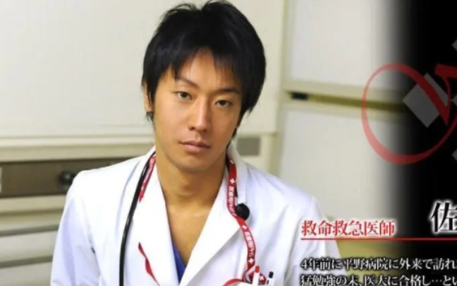 每日一淳平