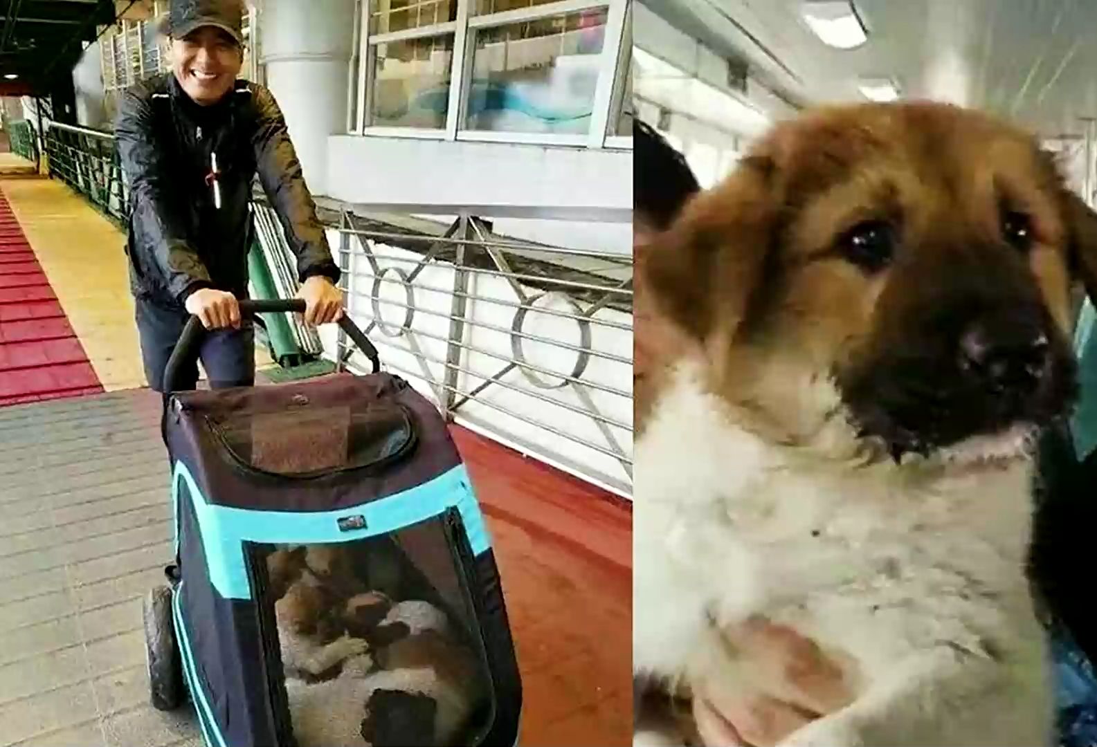 穿15块拖鞋买菜,每月只花800的国际巨星周润发,为何捐款56亿?