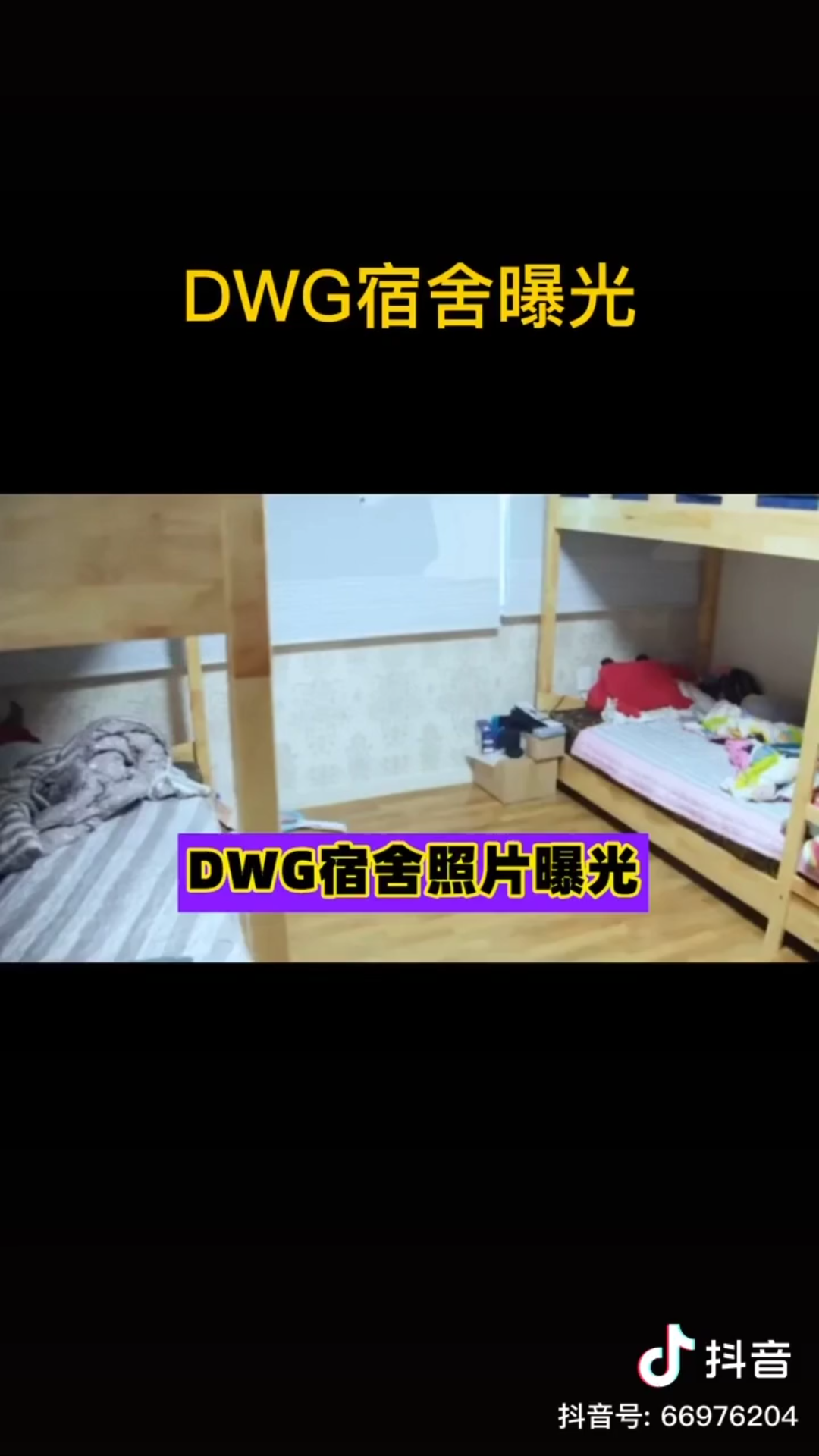 DWG网吧队到世界冠军,宿舍照片曝光哔哩哔哩bilibili