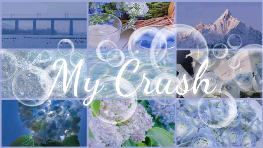 [图][不懂勿入]✨♥️My Crush | 三生有幸，一见钟情 |