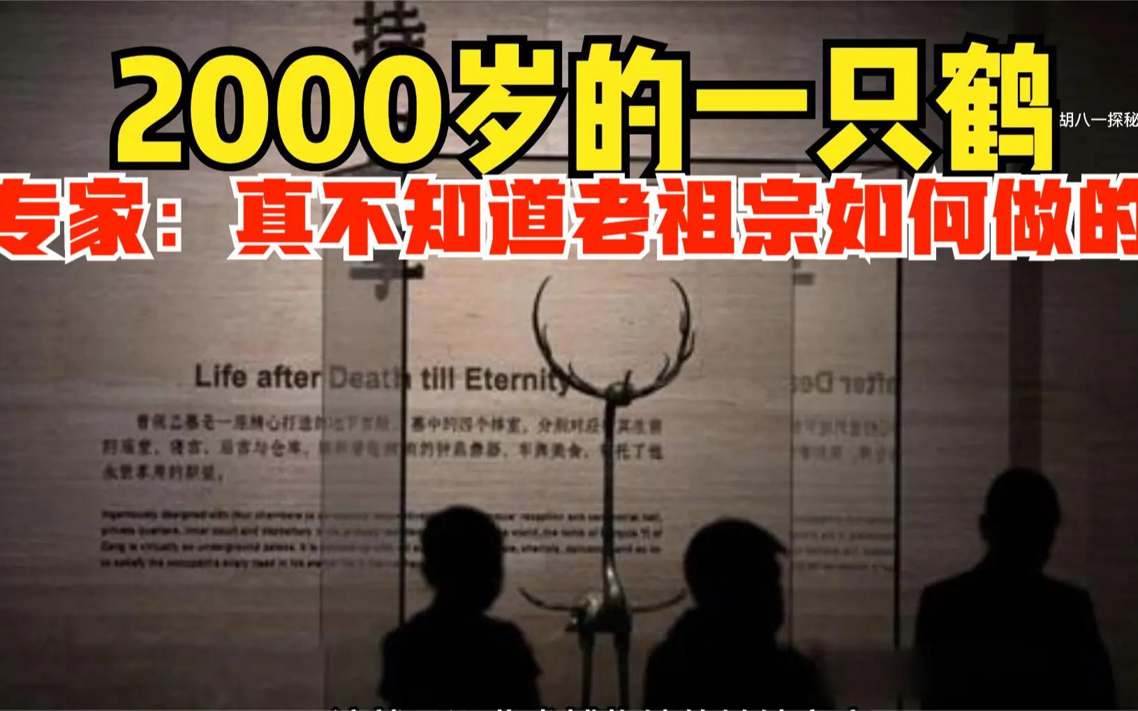 2000年前的一只青铜鹤,考古专家:真不知道老祖宗怎么做的.哔哩哔哩bilibili