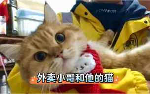 Tải video: 外卖小哥和他的猫｜一人两猫同住不到10平小单间，房租450。今天买了三个大鸡腿，做个黄焖鸡煲