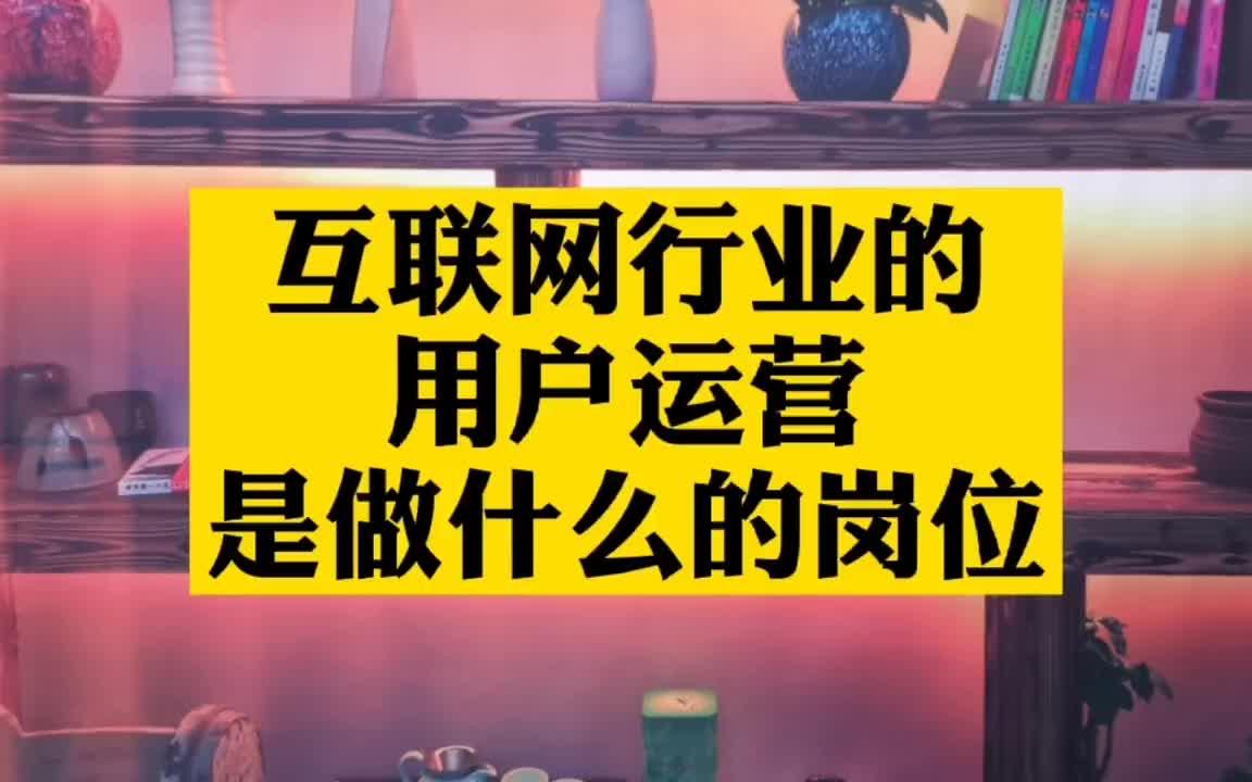 【运营岗位分析】大城市互联网公司的用户运营是干啥的?大学生和运营新人来看看哔哩哔哩bilibili