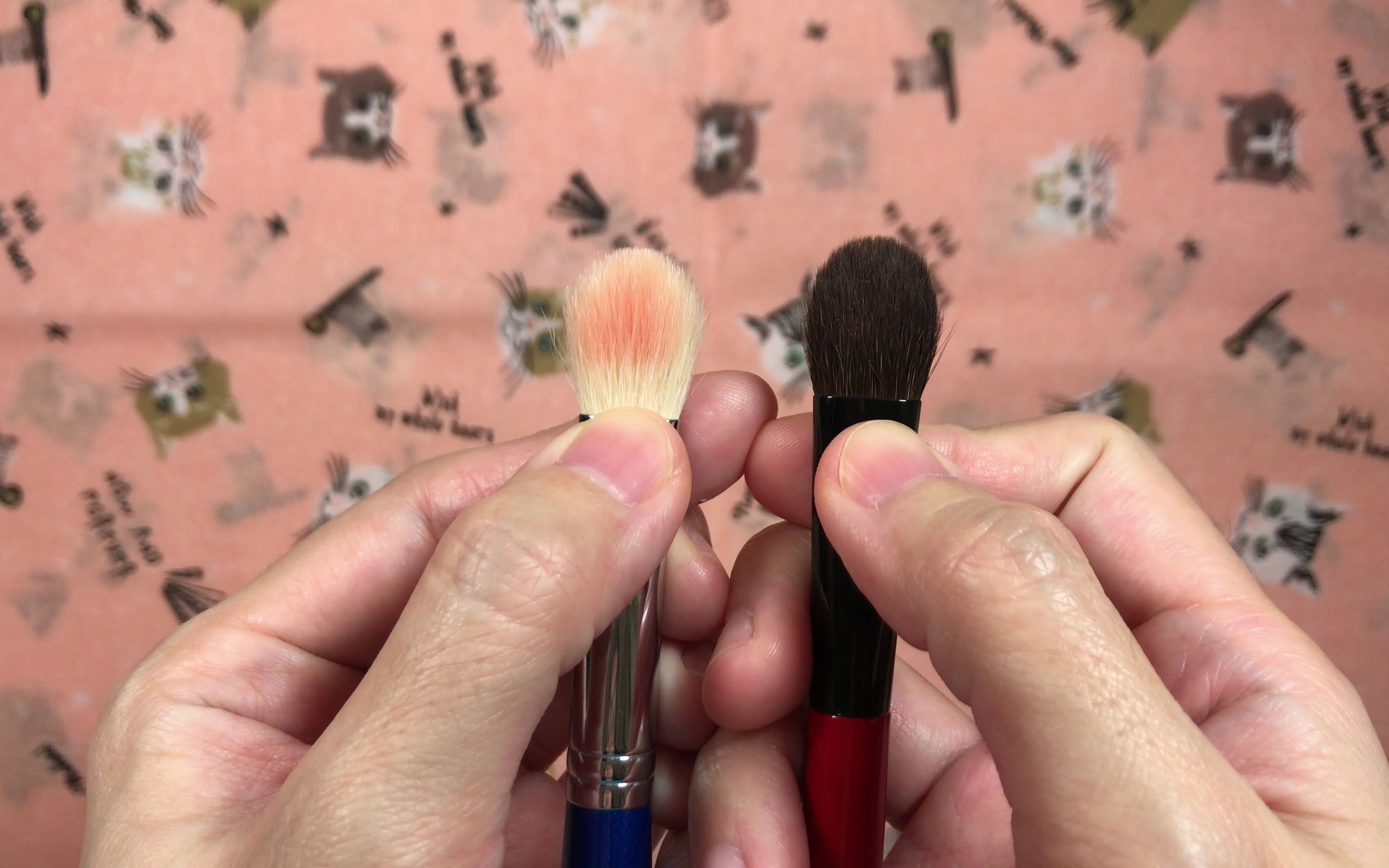 eyeshadow brush hits and misses | august 2020