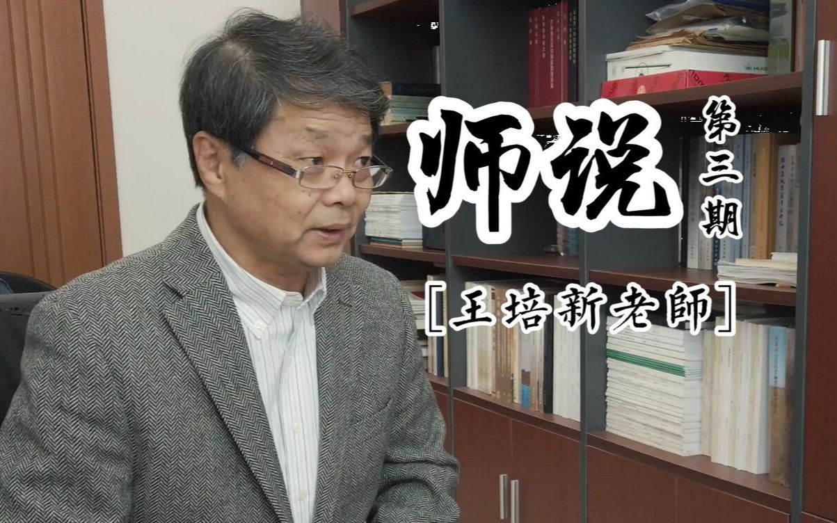 《师说》| 吉林大学考古学院名师探访 | 第三期:王培新老师专访