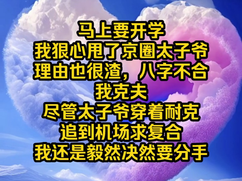 [图]《南夕月亮》马上要开学，我狠心甩了京圈太子爷，理由也很渣，八字不合，我克夫。尽管太子爷穿着耐克追到机场求复合，我还是毅然决然踏上飞往英国的航班