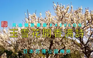 万博公园 搜索结果 哔哩哔哩弹幕视频网 つロ乾杯 Bilibili