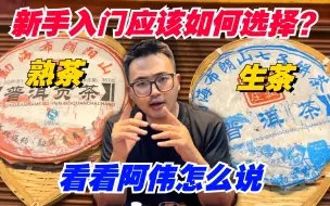 Download Video: 新手入门选择生茶还是熟茶？哪个更具品饮价值？看看阿伟怎么说！