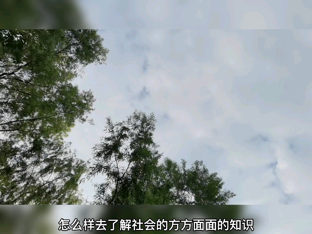 书山有路,学海无涯哔哩哔哩bilibili