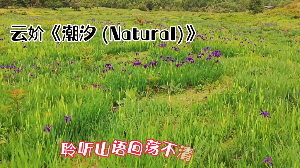 [图]云妎《潮汐 (Natural)》