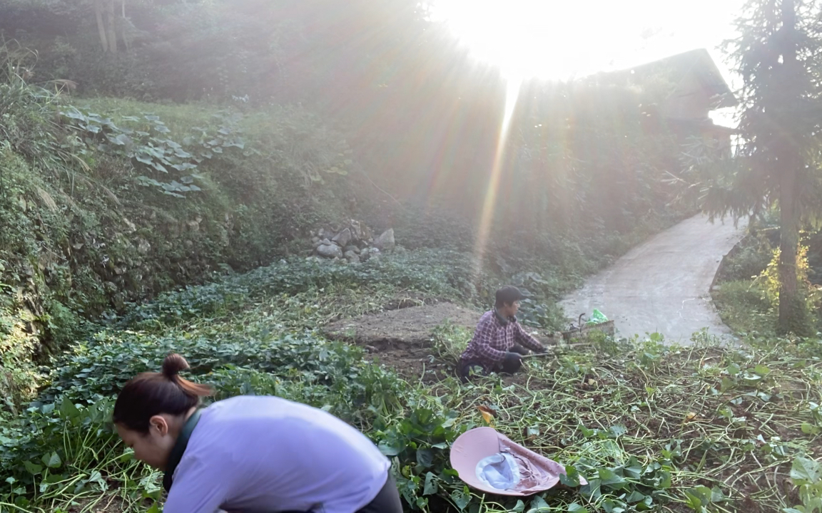 [图]归园田居之收获的季节