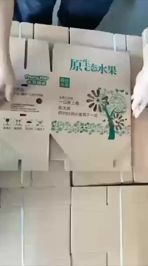 水果纸箱折叠视频哔哩哔哩bilibili